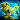 PlantGuardZombies - Peashooter