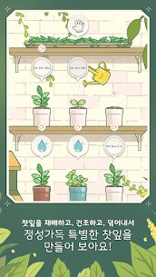 Little Corner Tea House 4