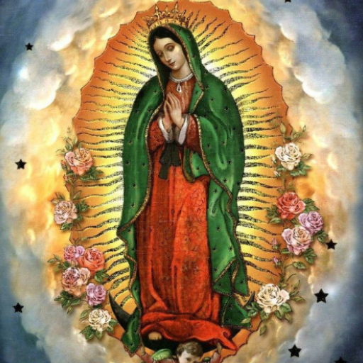 Virgen de Guadalupe logo