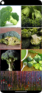 Wallpaper Brokoli