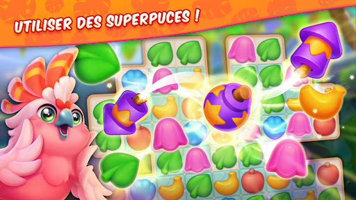 Aperçu de l'application