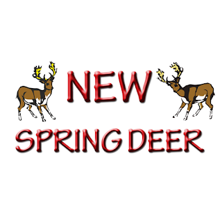 New Spring Deer