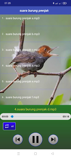 App preview