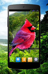 3D birds parallax live wallpaper