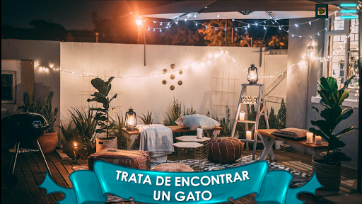 Vista previa de la aplicación