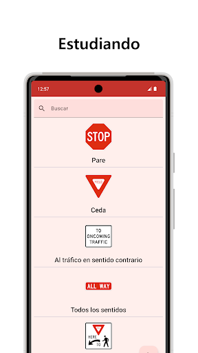 Vista previa de la aplicación