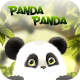 Panda Panda icon
