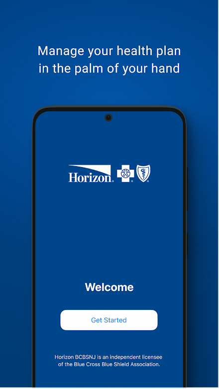 Horizon Blue Screen 1