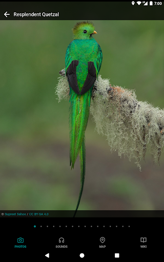 Screenshot of GoBird - Guide to Nearby Birds