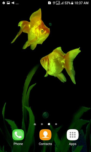 Golden Fishes Live Wallpaper