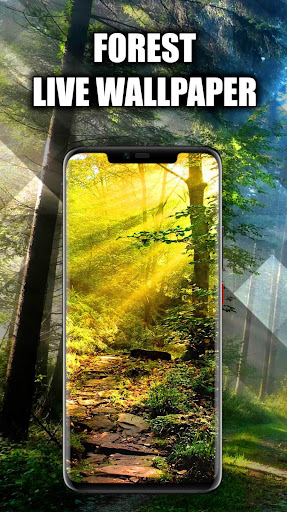 Forest Wallpaper Live HD/3D/4K Screenshot 4 - AppWisp.com