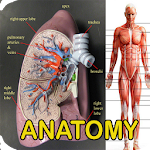 Anatomy Of Human Body Apk