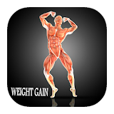 fitness trainer: weight gainer icon