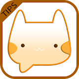 Guide for Meow Chat icon