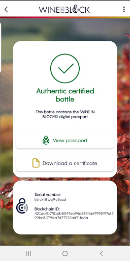Wine in Block Screen 2