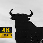 Cover Image of Herunterladen Bull Wallpapers - 4K and UHD 1.0 APK