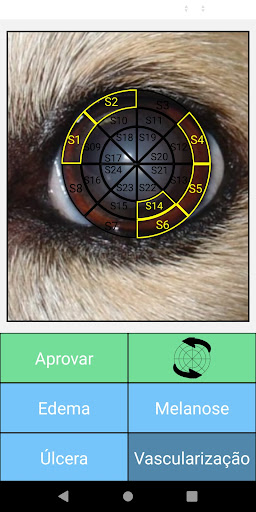 EIA - Eye Image Analyzer Screen 3