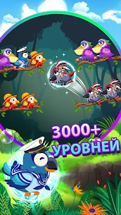 Сортировка по цвету птицы 2