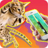 Laser Cat Simulator 3D icon