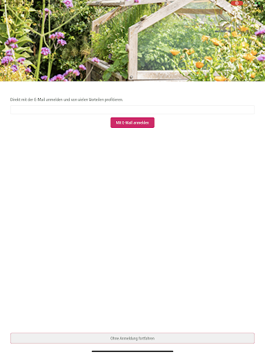 Lieblingspflanze Steinhilber