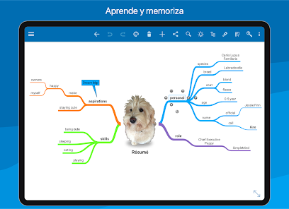 Captura 18 SimpleMind Pro - Mind Mapping android