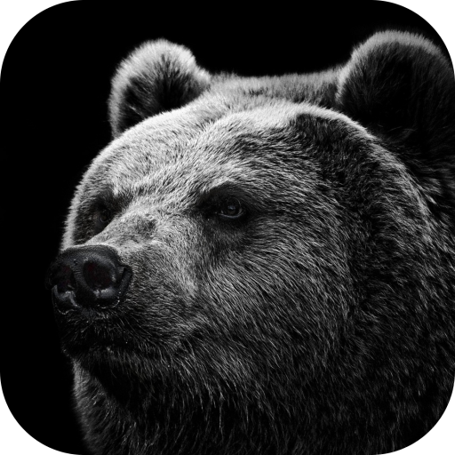 Love in Wildlife. Wallpapers Header - AppWisp.com