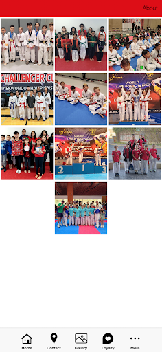 Chang Brothers Taekwondo Screen 2