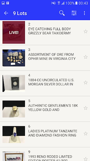 Lightning Auctions Screen 2