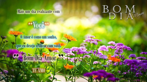 Images Good Morning Phrases