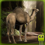 Durable Camel Simulator icon
