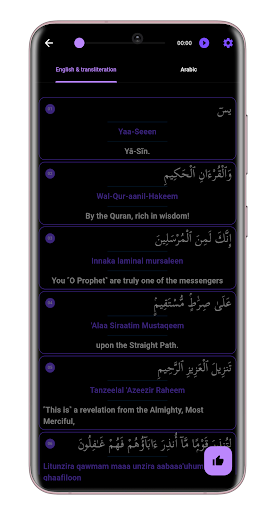 surah yaseen audio and reading Screen 3