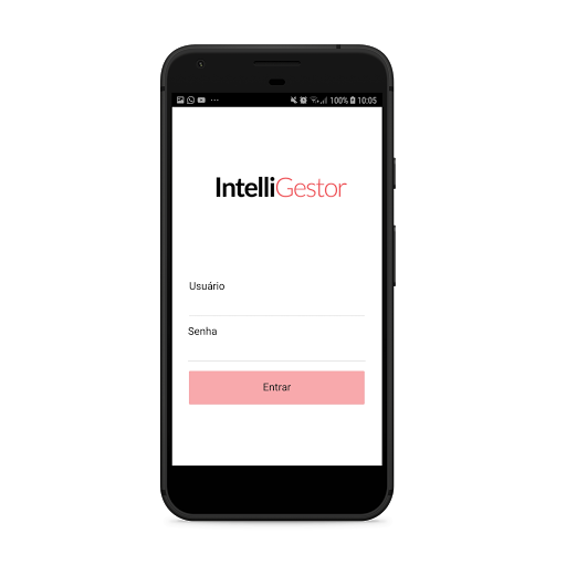 IntelliGestor Screen 2