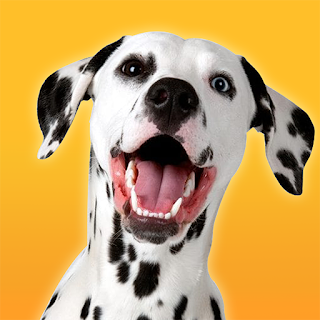 Dalmatian Dog Simulator apk