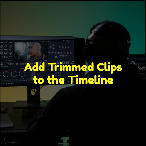 DaVinci Resolve for Beginer