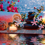 Cover Image of Download Relaxing Spa Music for sleep 16.1.6 APK