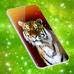 Cover Image of Download Tiger Live Wallpapers  APK