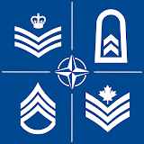 NATO Ranks icon