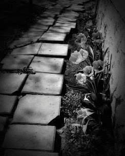 Dramatic Black & White Patched Apk 3