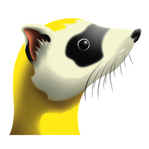 Ferret WiFi logo