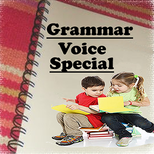 Grammar Voice Special logo