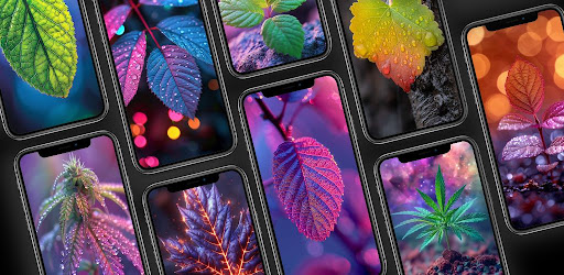 Leaf and Cosmic Wallpapers