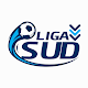 Liga Sud دانلود در ویندوز