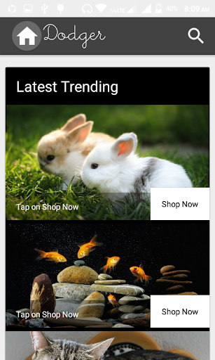 Dodger Inc - Online Pet Shop