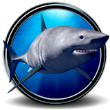 Great White Shark Real 3D icon