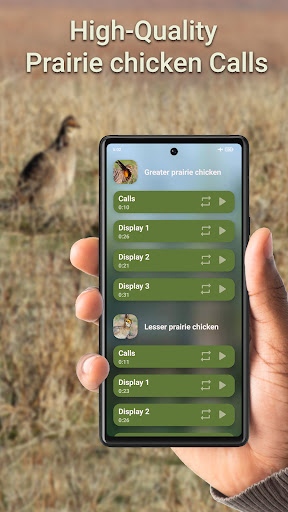 Android application Prairie Chicken Hunting Calls screenshort