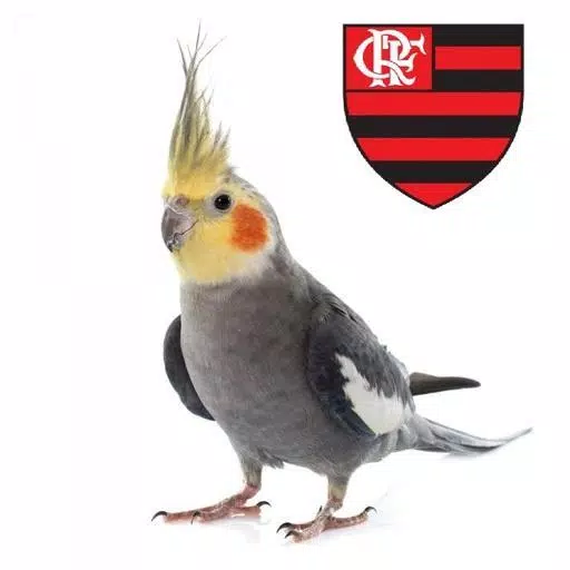 Hino do Flamengo pra Calopsita logo
