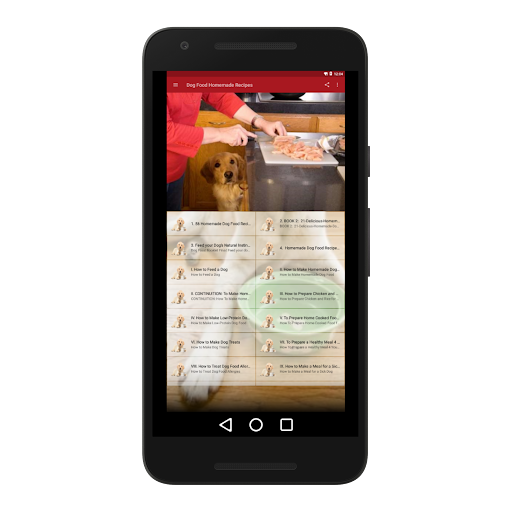 Dog Food Homemade Recipes