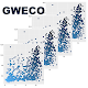 GWECO: Genome-Wide Gene Expression Correlation Laai af op Windows