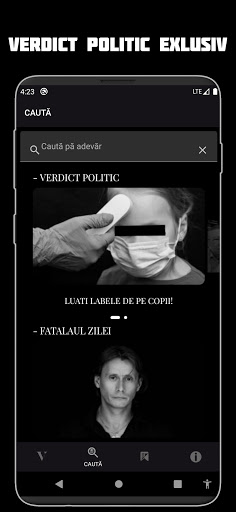 Verdict Dana Budeanu Screen 3