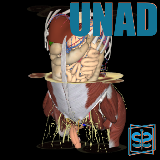 3Dissect Abdomen UNAD logo